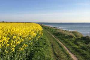 Kleines Inselglück in Petersdorf - Ihr eigenes Häuschen an der Ostsee – Ostholstein (Kreis) – Vorschaubild 25