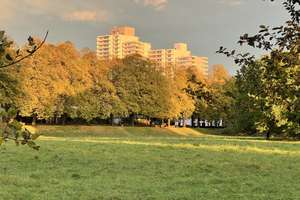 Property thumbnail 20