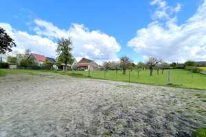 Zweifamilienhaus, Stallungen und Platz zur Pferdehaltung, hier können Träume umgesetzt werden – Potsdam-Mittelmark (Kreis) – Vorschaubild 26