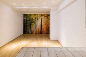 Vielseitiges Gebäudeensemble mit Wasserblick - Wohnen, Vermieten und Arbeiten unter einem Dach! – Die vollständige Adresse der Immobilie erhältst du vom Anbieter., 4683 Naunhof – Vorschaubild 54