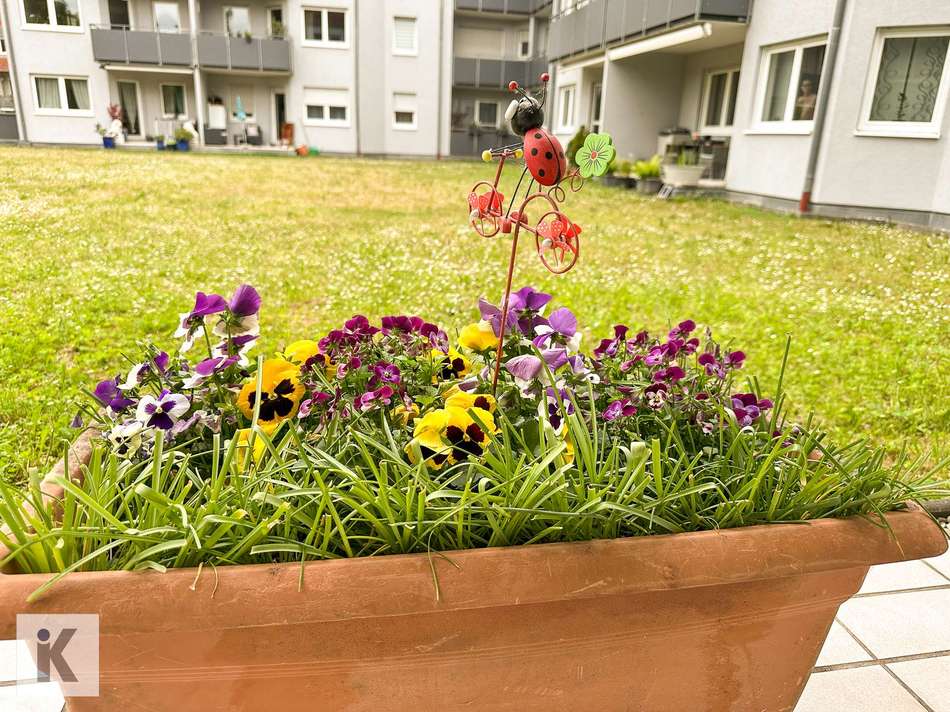 Terrassenschmuck