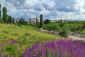 Property thumbnail 16