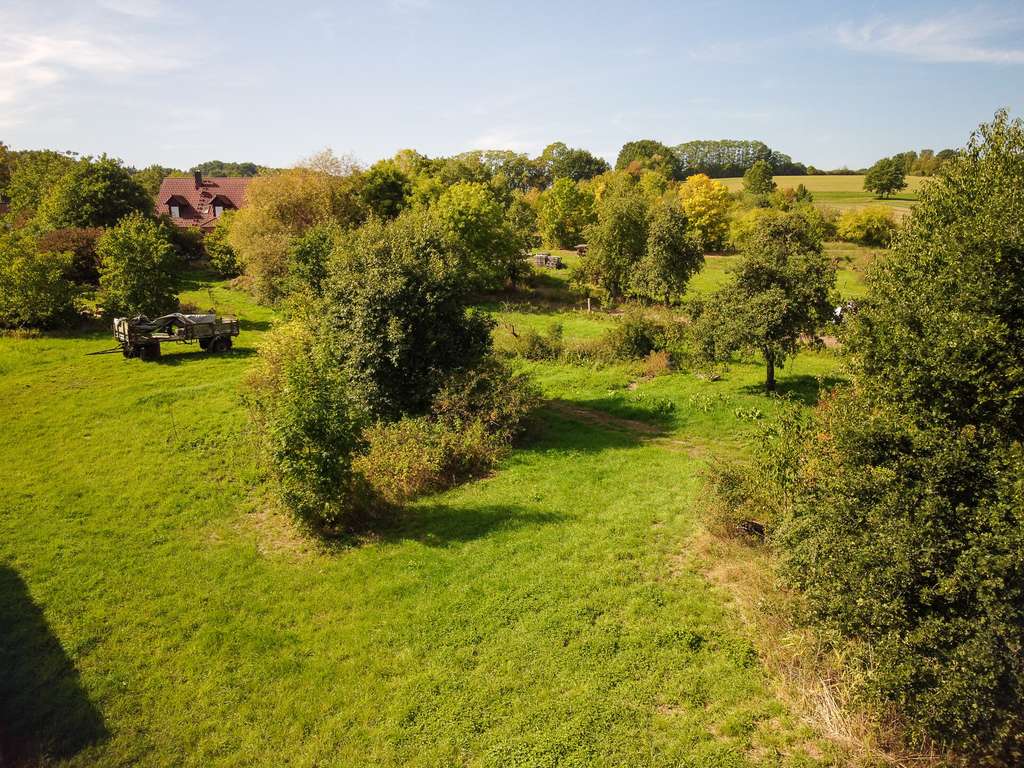 Immobilie in Reckendorf - Einmaliger Vierseithof im LK Bamberg! Riesiges Grundstück, 2 x Haus, Halle, 6000 qm Bauland! Garten! - Bild 2