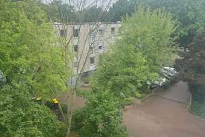Ausblick inklusive ! Wunderschöne vermietete 2 Zimmer Wohnung mit Balkon – Hagerweg 36, 47798 Stadtmitte, Krefeld – Vorschaubild 2