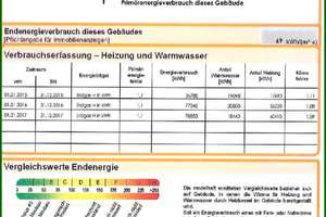 Gepflegte Wohnung in zentraler Erfurter Innenstadt mit  großer Terrasse – Trommsdorf Str. 27, 99084 Altstadt, Erfurt – Vorschaubild 12