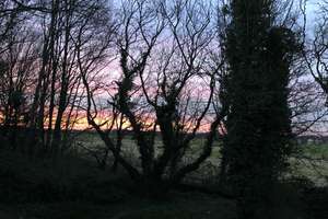 Property thumbnail 12