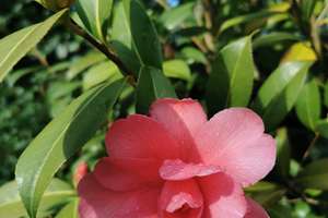 Property thumbnail 95