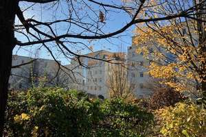 Barrierefreie 2-Zimmer-Wohnung in Klarenthal  – Die vollständige Adresse der Immobilie erhältst du vom Anbieter., 65197 Klarenthal, Wiesbaden – Vorschaubild 1
