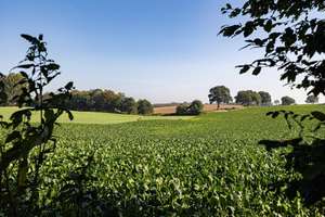 Modernes Holzhaus in traumhafter Umgebung – Die vollständige Adresse der Immobilie erhältst du vom Anbieter., 24897 Ulsnis – Vorschaubild 7