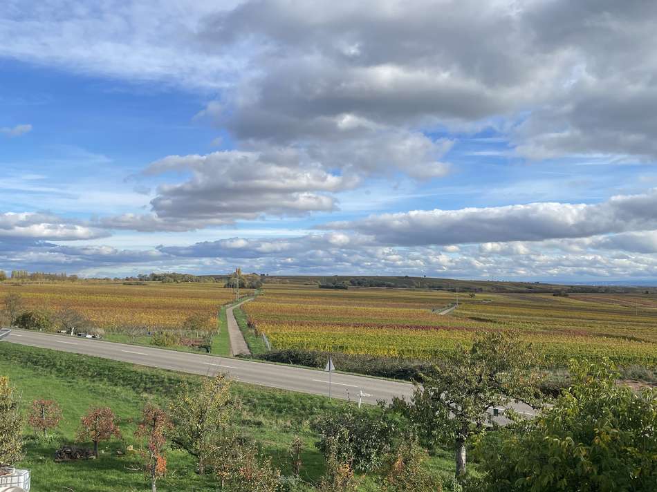 Ausblick