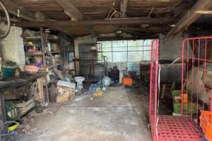 Ehemaliger Obsthof in Plessow – An der B1 13, 14542 Potsdam-Mittelmark (Kreis) – Vorschaubild 42