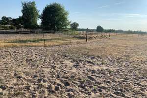 Pferdeimmobilie im Wendland-Neuwertiges Wohnhaus, Reithalle, Stallungen & ca. 3 ha Land in Prezelle – Die vollständige Adresse der Immobilie erhältst du vom Anbieter., 29491 Prezelle – Vorschaubild 16