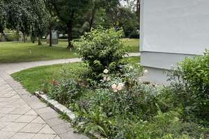 Feldmoching/ Lerchenau, freie, ruhige 3-Zimmer-Wohnung – 80935 Lerchenau-Ost, München – Vorschaubild 26