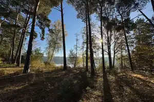 Endlich raus aus der Großstadt und rein ins Glück – Seekorso 22, 15754 Dahme-Spreewald (Kreis) – Vorschaubild 1