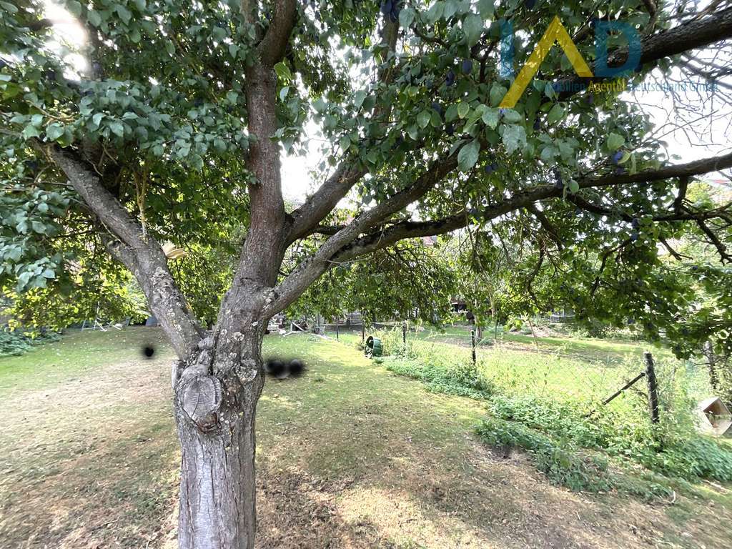 Immobilie in Fritzlar - Einzigartiger Dreiseitenhof in Fritzlar Haddamar: Ihr Traum-Pferdehof oder Bauernhof wartet! - Bild 3