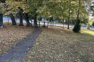 Ältere DHH in Damshagen , 881 m²  Grdst. mit altem Baumbestand/ 8 km zum Ostseebad Boltenhagen. – Klützer Straße 17, 23948 Damshagen – Vorschaubild 9