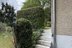 Befristet bis 02/2028 | Gepflegter Bungalow mit Vollkeller, Pool und großzügigem Grundstück – unter den briken 73, 12555 Köpenick, Berlin – Vorschaubild 27