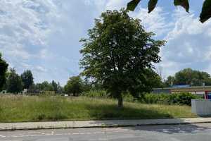 Ihr moderner 1,5-Geschosser in Lucka – mit ScanHaus – Altenburger Land (Kreis) – Vorschaubild 6