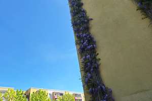 älteres Ehepaar für Wohnung im Hochparterre mit Balkon gesucht - gern mit WBS – Riesaer Straße 99, 12627 Hellersdorf, Berlin – Vorschaubild 2