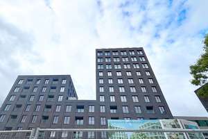 Zum Wohlfühlen! Viel Platz & Komfort & Einbauküche, neue Ausstattung! 3 Zimmer + Loggia, Gäste-WC – Hildesheimer Straße 454, 30519 Döhren, Hannover – Vorschaubild 26