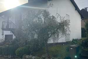 Einfamilienhaus in Taunusstein-Seitzenhahn – Ideal für Familien! – Rheingau-Taunus-Kreis – Vorschaubild 12