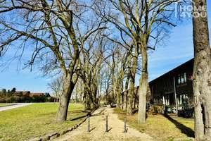 LOFT im luxuriös sanierten Gutshof, 144 qm, 2 SZ, Bad, WC, Einbauküche, Garten&Terrassen, Tiefgarage – Brühler Landstraße 549, 50997 Meschenich, Köln – Vorschaubild 23