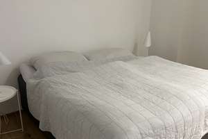 TOP Sanierte 2 Zimmer Altbauwohnung BS-Nordstadt  – Ludwigstraße 20, 38106 Nordstadt, Braunschweig – Vorschaubild 19