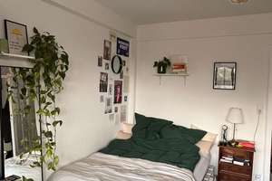 Top Altbauwohnung in Lindenthal/Uni, Eigennutzung oder Invest, 4 Zi, WG-geeignet, Balkon – 50931 Lindenthal (Ortsteil), Köln – Vorschaubild 12