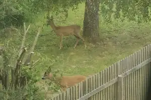 Neuwertiges Haus mit Naturgarten - Nachhaltigkeit und Luxus in Berlinnähe - Müncheberg! – Märkisch-Oderland (Kreis) – Vorschaubild 46