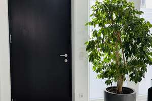 Hochwertiges Townhouse mit zentraler Lage in Hamburg-Uhlenhorst – Dorothea-Bernstein-Weg 32, 22081 Uhlenhorst, Hamburg – Vorschaubild 6