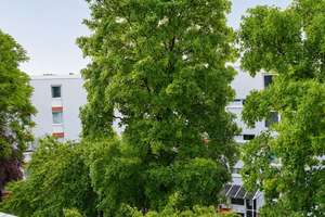 Modernsierte  3,5 Zimmer Eigentumswohnung mit Loggia – Die vollständige Adresse der Immobilie erhältst du vom Anbieter., 68309 Vogelstang, Mannheim – Vorschaubild 13