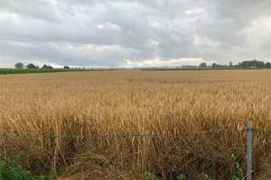 WAHNSINNS AUSBLICK: Freistehendes EFH mit Blick über Felder bis zum Deister – Hannover (Kreis) – Vorschaubild 18