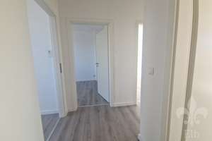3 Raum Wohnung mit Einbauküche im Süden von Magdeburg ab sofort für nette Mieter bezugsfertig – Alt Fermersleben 12b, 39122 Fermersleben, Magdeburg – Vorschaubild 11