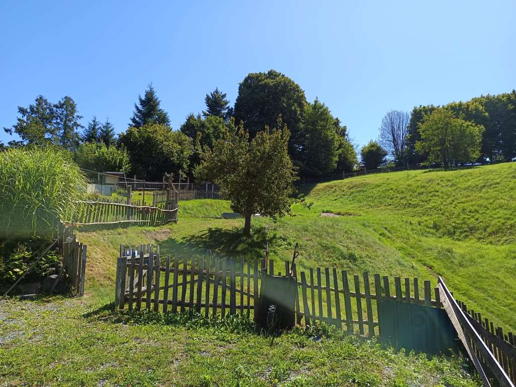 Immobilie in Sebnitz - 4000 m² Grundstück & Baugenehmigung für Wohnhaus + Nebengebäude - Bild 3