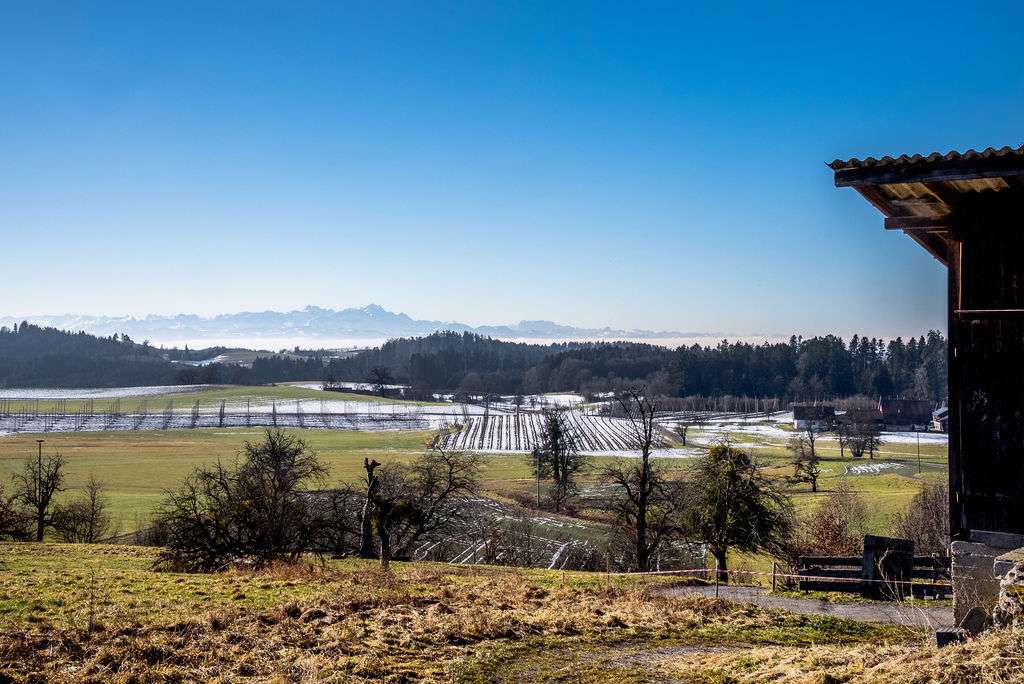 Immobilie in Bodnegg - Bauernhof inkl. 2 genehmigten neuen Einfamilienhäusern  im württembergischen Allgäu mit Alpenblick - Bild 2