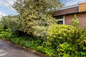 Gemütlicher Bungalow mit besonderem Ambiente – Die vollständige Adresse der Immobilie erhältst du vom Anbieter., 53117 Auerberg, Bonn – Vorschaubild 4