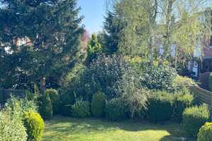 Familienfreundliches Reihenendhaus mit sonnigem Garten in Köln-Esch! – Köln – Vorschaubild 13