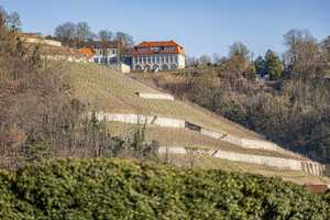 NEU: Ein charmantes Domizil - mit Weitblick über die Weinberge – Burgenlandkreis – Vorschaubild 20