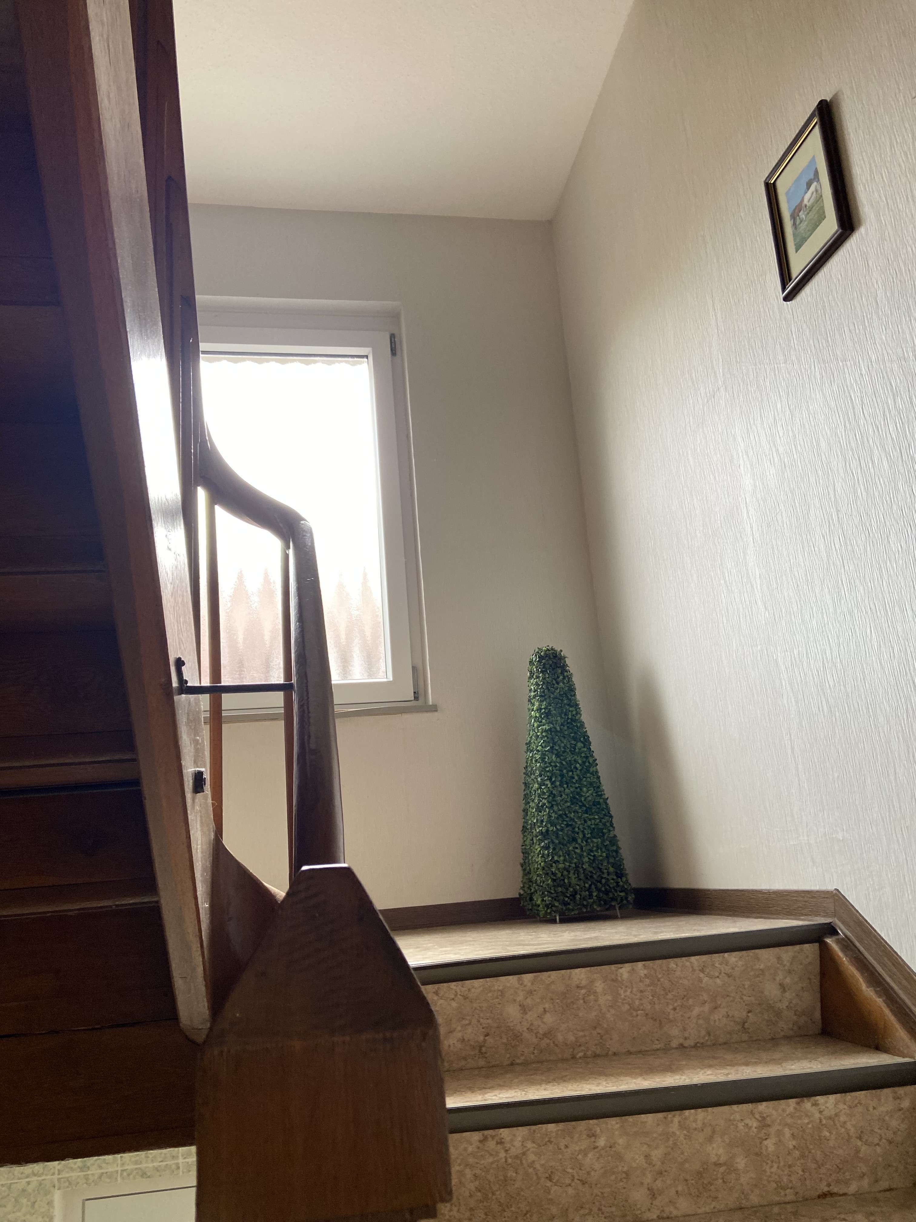 Immobilie in Ahorn - Attraktives Dreifamilienwohnhaus mit großem Garten und drei Garagen! - Bild 0