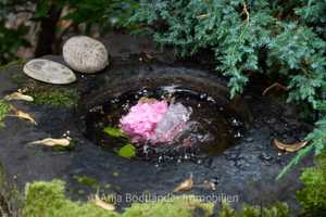 Lieblingsplatz! Frühling im Villenviertel Bad Godesbergs – Dürenstr. 00, 53173 Bonn – Vorschaubild 25