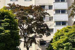 BEZUGSFREI: Ruhe, Licht & Weitblick | 2-Zi.-Whg. mit Balkon & Lift im 5.OG in Lichterfelde – Die vollständige Adresse der Immobilie erhältst du vom Anbieter., 12207 Lichterfelde, Berlin – Vorschaubild 16