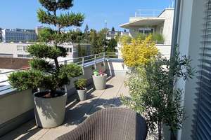 Exklusive, helle 3-Zimmer-Penthouse-Wohnung mit sensationeller Terrasse – Jurastraße 28, 70565 Höhenrand, Stuttgart – Vorschaubild 13