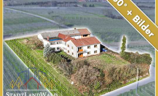 Leben über dem Rebenmeer - Ehemaliges Weingut in Alleinlage und Blick in die Rheinebene