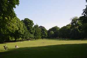 Property thumbnail 8