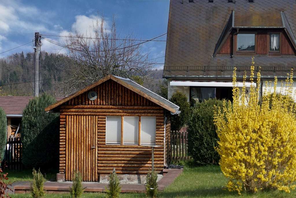 Immobilie in Weischlitz - Eigenheimidylle pur! - Bild 4