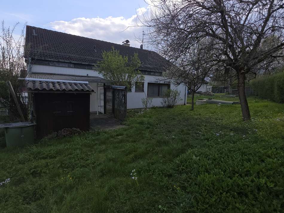 Garten (2)