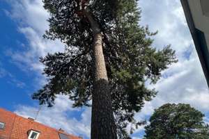 Property thumbnail 51