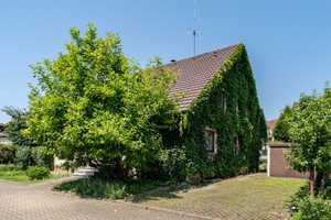 Für die große Familie – Zweifamilienhaus mit Potenzial in ruhiger Lage – Konstanz (Kreis) – Vorschaubild 22