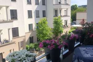 Property thumbnail 7