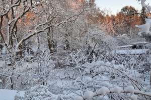 Property thumbnail 17